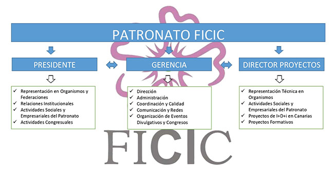 Organigrama Fundación Cáncer